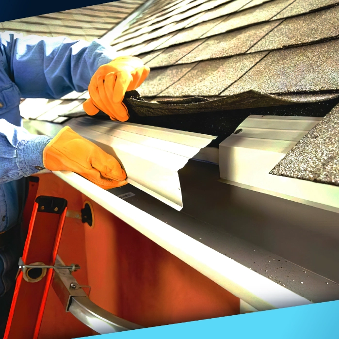 Imagen de Gutter Inspection